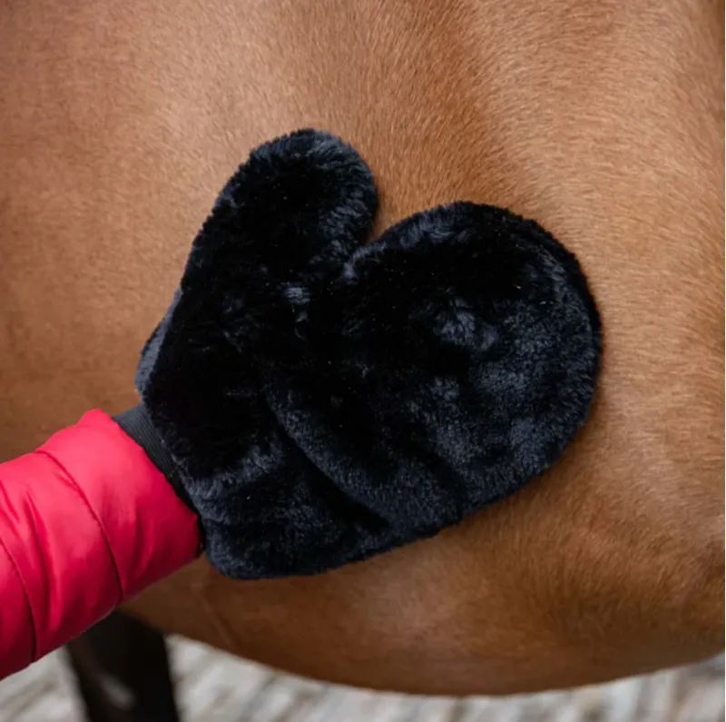 Smart Grooming - Faux Fur Mitt